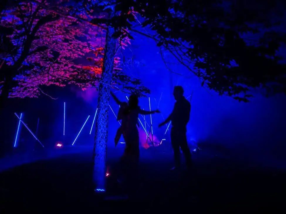 Lumina by Moment Factory, Photograph by </em><a target="_blank" href="https://www.flickr.com/photos/inannabintali/50465552657/in/photostream/" rel="noopener">JoLynne Martinez</a>