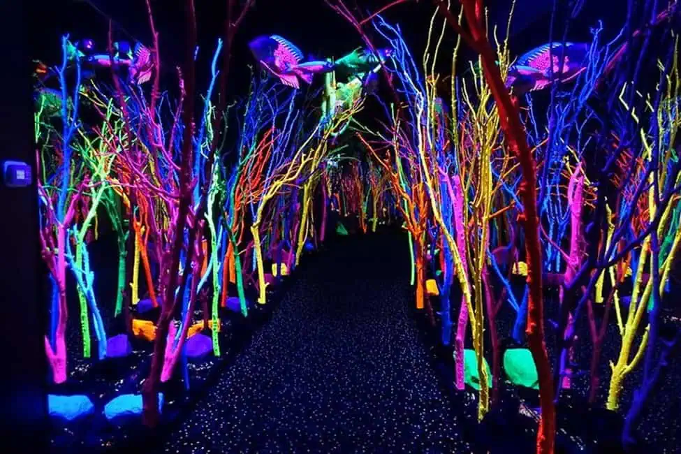 Meow Wolf’s House of Eternal Return. Photograph by Jeremy Thompson