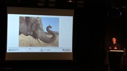 Ingredients of Successful Intrapreneurship