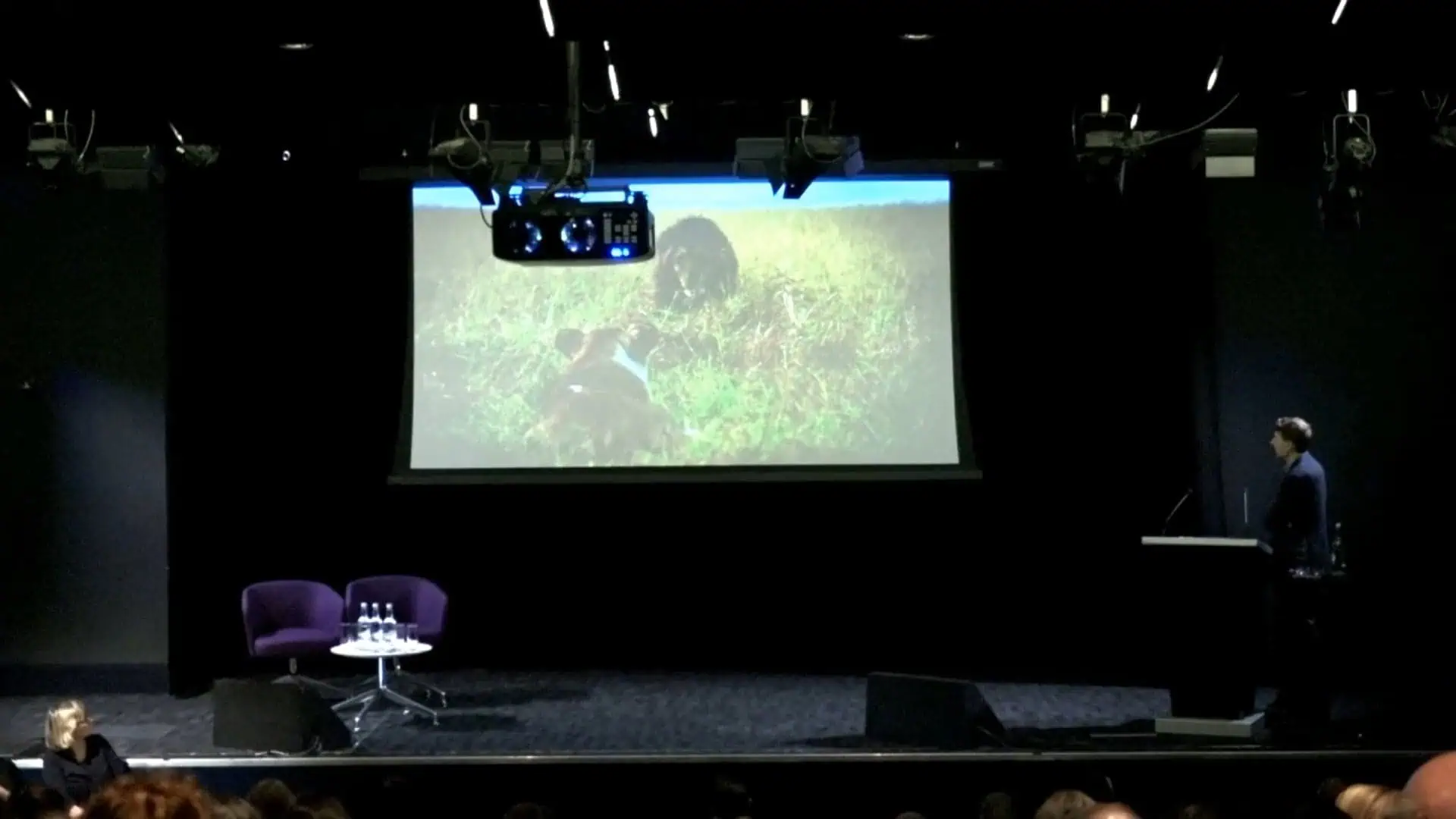 The Making of BBC Dynasties: From financing to production tech