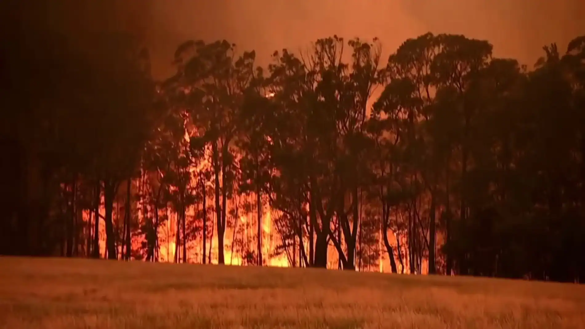 Action is the antidote to despair: Tackling climate change together