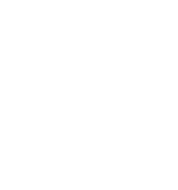 World Experience Organisation